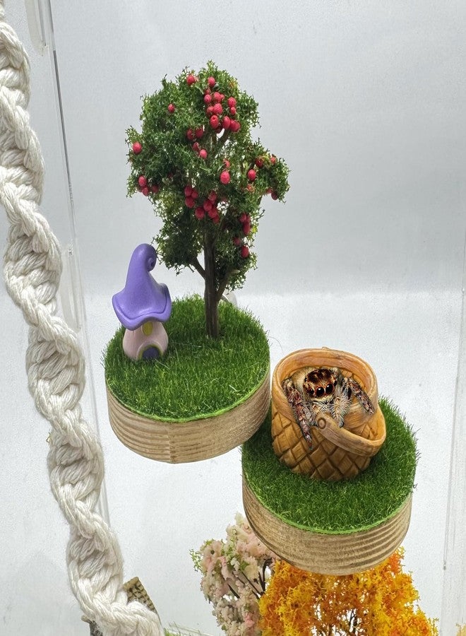 Julang Jumping Spider Enclosure Accessories - Natural Wood Handmade Mini Forest Platforms with Magnetic Mounting for Climbing, Resting and Exploration -2 - Image 1
